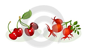 Ripe and Juicy Berries with Green Leaves Vector Set