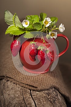 Ripe juicy berries and jug on piece