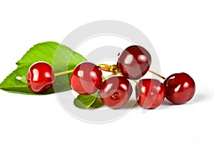 Ripe juicy cherries