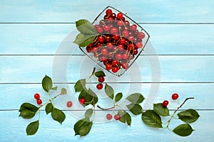 Ripe juicy cherries on a glass plate.