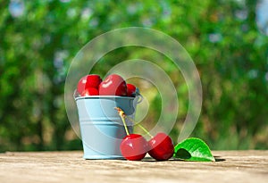 Ripe juicy cherries in a small decorative bucket