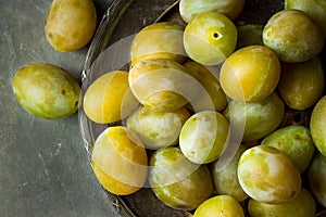 Ripe juicy colorful yellow and green plums on vintage metal dish. Dark stone background. Autumn.