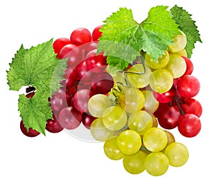 Ripe juicy grapes isolated on white background. Red and green grapes with leaves.