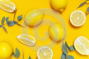 Ripe juicy lemons and green eucalyptus twigs on bright yellow background. Lemon fruit, citrus minimal concept. Creative summer