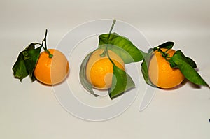 Ripe juicy orange tangerines with green leaves isolated