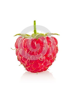Ripe juicy organic raspberry macro
