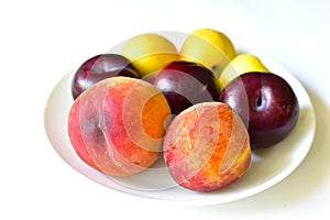 Ripe and juicy peaches and apricots on a white plate