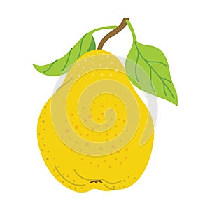 Ripe juicy pear cartoon style. Fresh pear with leaves.