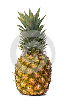 Ripe juicy pineapple isolated on white background