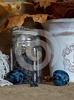 Ripe juicy plums on a rustic autumn vintage background.