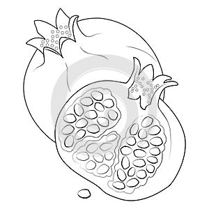 Ripe juicy pomegranates Illustration. Coloring page. Line Art.