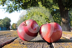 Ripe juicy red apples on old wooden table with moss in sunny day outdoors against green trees background.