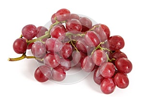 Ripe juicy red grapes with large berries photo