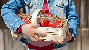Ripe juicy tomatoes in the wicker basket