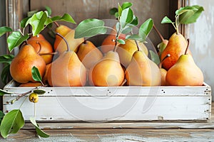 Ripe juicy yellow pears in a wooden box on a rustic background. Fruit garden harvesting concept.