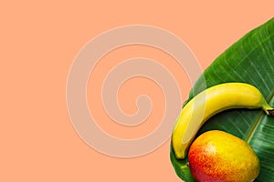 Ripe juicy yellow red mango banana on fresh green palm leaf on pink background. Summer tropical nature