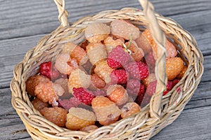 ripe juicy yellow and red raspberries in a wicker basket on a wooden table