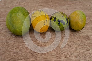 Ripe Juley, Connon, Robin, And Greenskin Mangoes