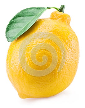 Ripe lemon fruit.