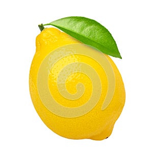 Ripe lemon with leaves isolated on white background