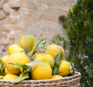 Ripe lemons in bowl