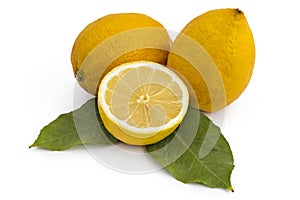 Ripe lemons, citrus fruit