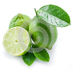 Ripe lime fruits.