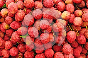 Ripe Lychee fruits