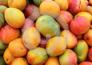 Ripe mango fruit