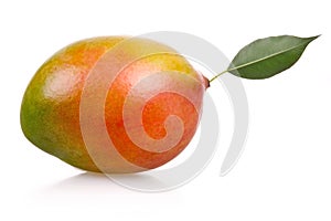 Ripe mango fruit isolated