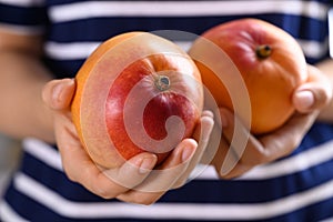 Ripe Mango fruit (Tommy Atkins) holding by woman hand