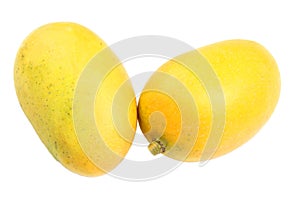 Ripe Mango