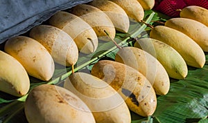 Ripe mango on the market