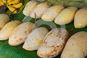 Ripe mango on the market