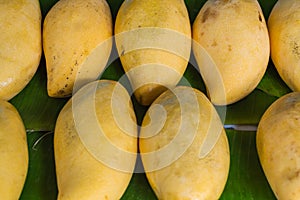 Ripe mango on the market