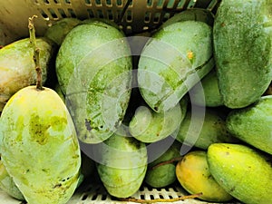 ripe mango ready for sale, sign of damage and disease