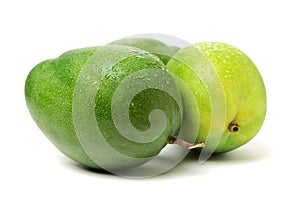 Ripe mango with water drops