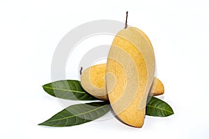 Ripe mango on white background.