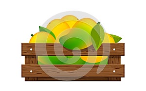 Ripe mango in wood crate box isolated on white, mango fruit pack in wooden crate, illustration mango pile and crate wood for clip