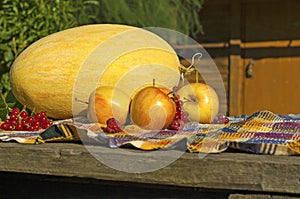 Still life with melon, apples, red currants and raspberries