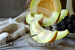 Ripe melon slices