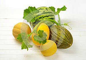 Ripe melon varieties