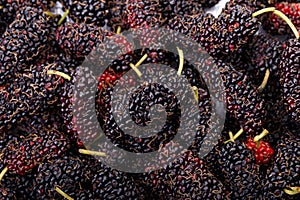 Ripe mulberries background. healthy fruit