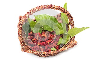 Ripe mulberries in wicker basket