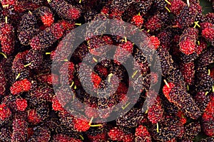 Ripe mulberry Morus is black and red on white background healthy mulberry fruit food