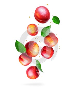 Ripe nectarine peaches with green leaves isolated on a white background