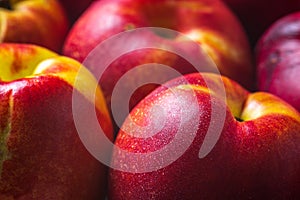 Ripe nectarines fruit background closeup