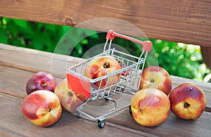 Ripe nectarines in little grocery trolley