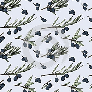 Pattern with olives. Hand drawn olive branch. Color vector pattern on a light background