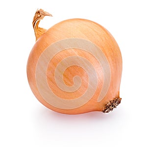 Ripe onion isolated on white background